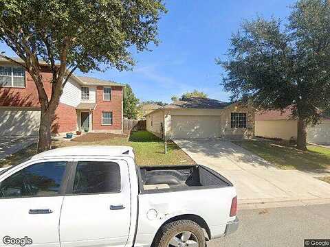 Armadillo, CIBOLO, TX 78108