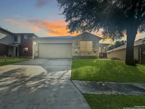 Armadillo, CIBOLO, TX 78108
