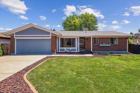 Yank, LAKEWOOD, CO 80228