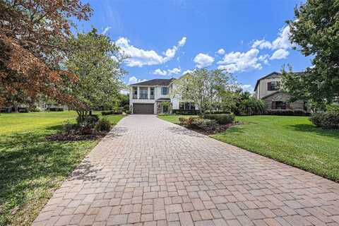 Daisy Farm, LUTZ, FL 33559