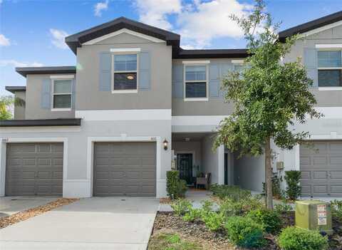 Cassius, LUTZ, FL 33549