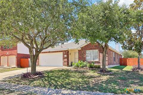 Lantern, PFLUGERVILLE, TX 78660