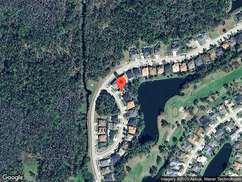 Red Cardinal, ODESSA, FL 33556