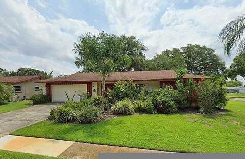 Lanyard, PALM HARBOR, FL 34685