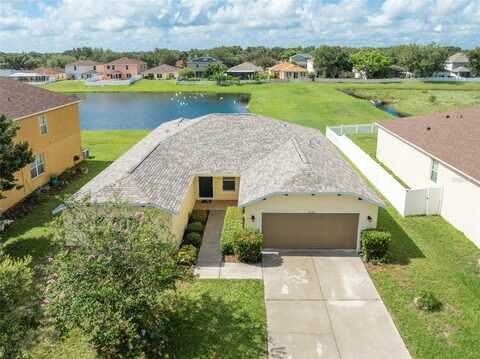 Hartford Fern, RIVERVIEW, FL 33569