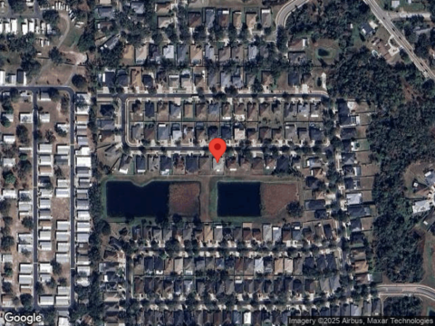 Hartford Fern, RIVERVIEW, FL 33569
