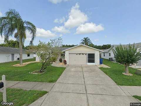 Swallowtail, NEW PORT RICHEY, FL 34653