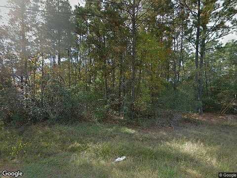 Tallow, SOUR LAKE, TX 77659