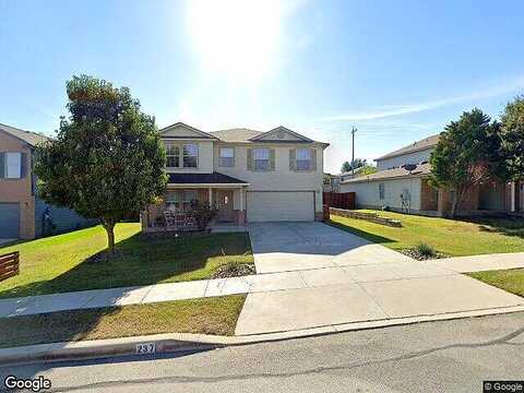Weeping Willow, CIBOLO, TX 78108