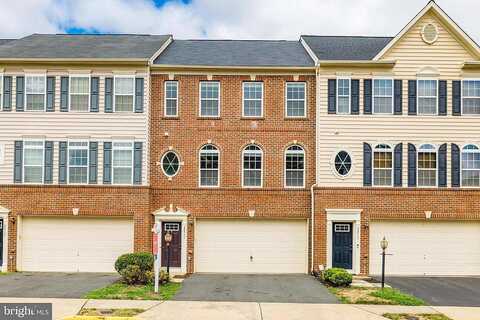 Chinkapin Oak, STERLING, VA 20166
