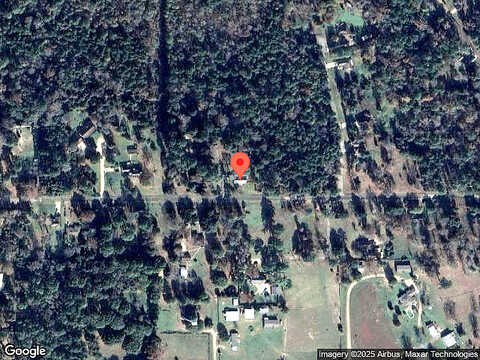 Fernsprings, GOODRICH, TX 77335