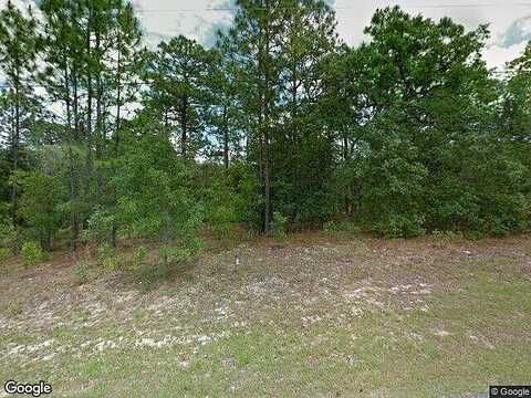 Tiny Lily, CITRUS SPRINGS, FL 34434