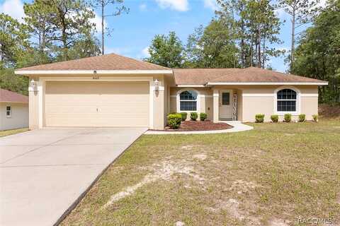 Tiny Lily, CITRUS SPRINGS, FL 34434