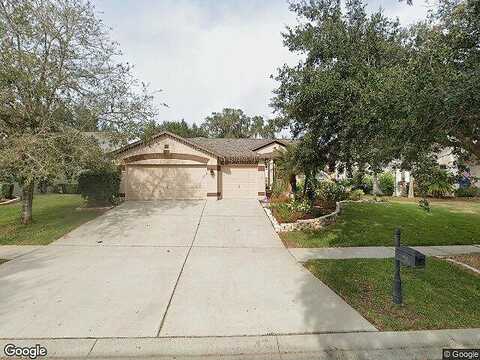 River Close, VALRICO, FL 33596