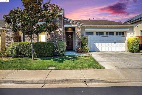 Gamay, BRENTWOOD, CA 94513