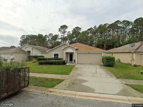 Dahoon Holly, DAYTONA BEACH, FL 32117