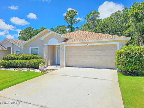 Dahoon Holly, DAYTONA BEACH, FL 32117