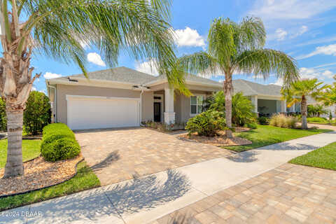 Areca, NEW SMYRNA BEACH, FL 32168