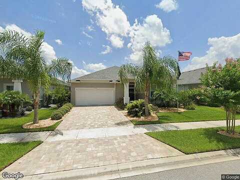 Areca, NEW SMYRNA BEACH, FL 32168