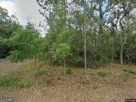 Savoy, LECANTO, FL 34461