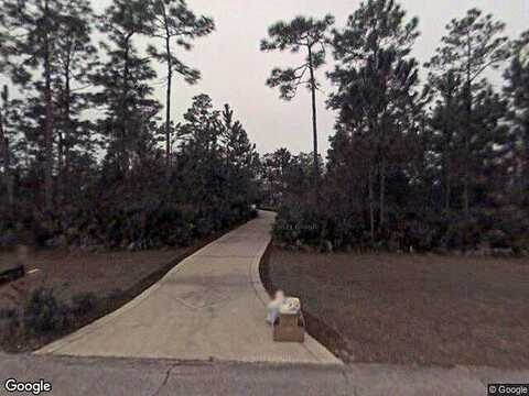 Golden Saddle, ORMOND BEACH, FL 32174