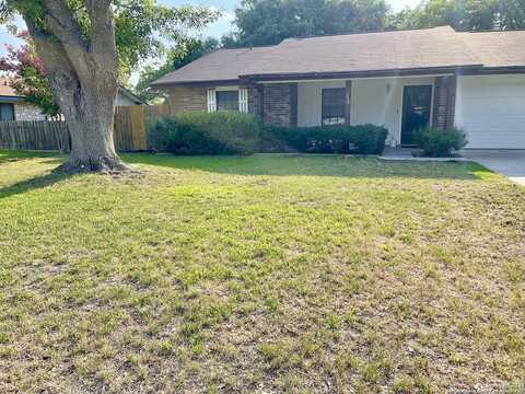 Azalea, BOERNE, TX 78006