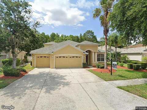 Pearl Berry, LAND O LAKES, FL 34638