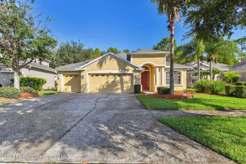 Pearl Berry, LAND O LAKES, FL 34638
