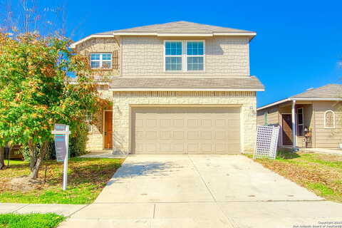Elderberry, NEW BRAUNFELS, TX 78130