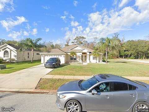 Birch Mountain, PORT ORANGE, FL 32129
