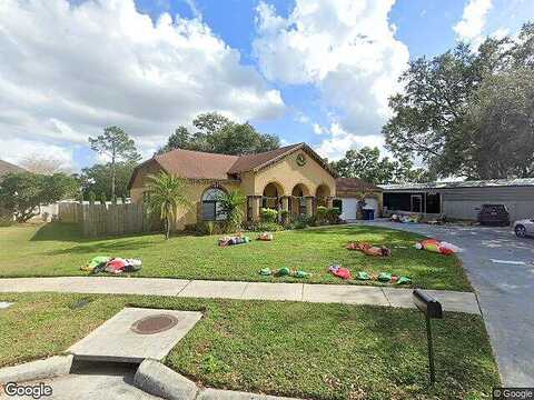 Glen Mist, VALRICO, FL 33594