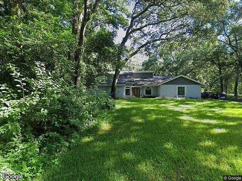 Andre, LUTZ, FL 33549