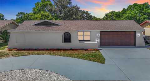 Pandora, PORT RICHEY, FL 34668