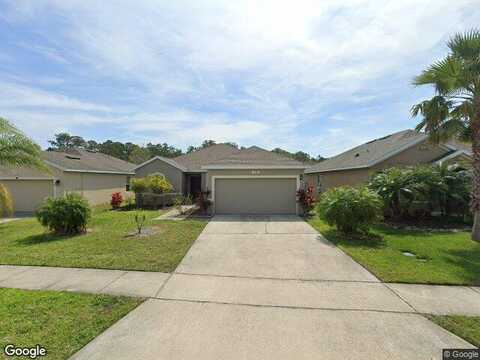 Savannah, PORT ORANGE, FL 32128