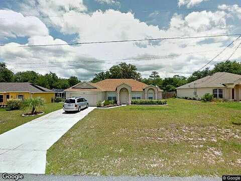 Tiny Lily, CITRUS SPRINGS, FL 34434
