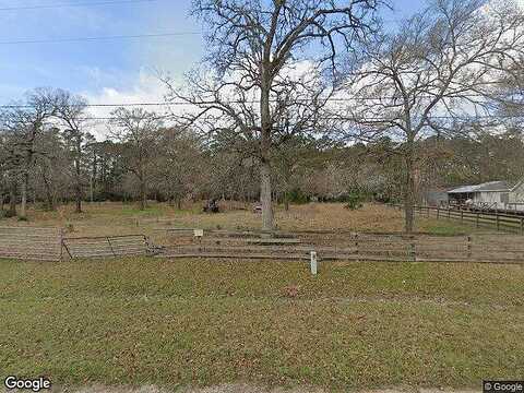 Rain Lily, MAGNOLIA, TX 77355