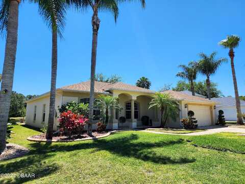 Saw Palmetto, PORT ORANGE, FL 32128