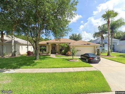 Saw Palmetto, PORT ORANGE, FL 32128