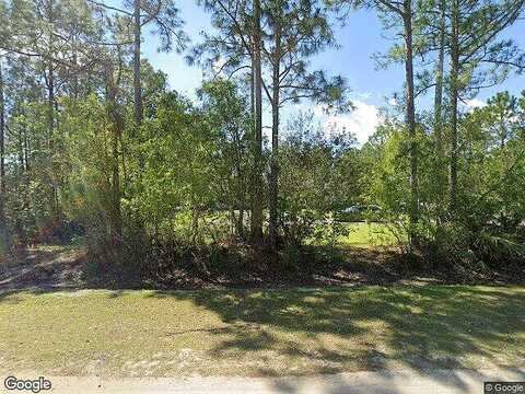 Candleberry, BUNNELL, FL 32110