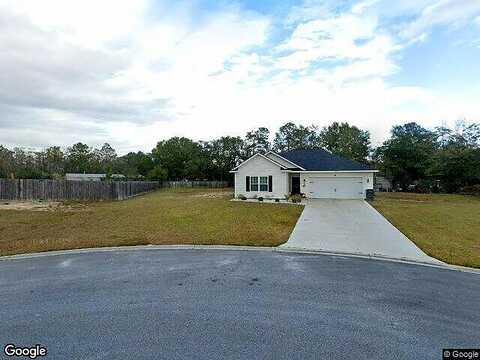 Setter, LUDOWICI, GA 31316