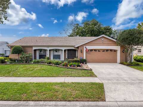 Shadberry, HUDSON, FL 34667