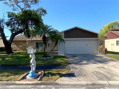 Dauvin, PORT RICHEY, FL 34668