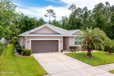 Levee, ORMOND BEACH, FL 32174