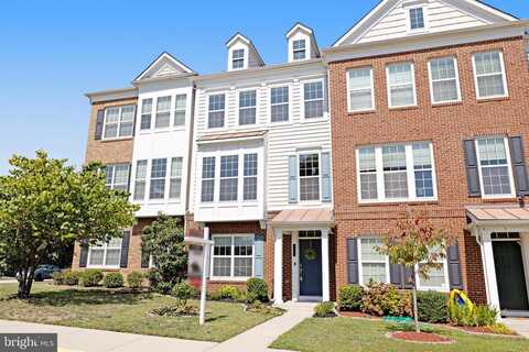 Mckay, CHANTILLY, VA 20152