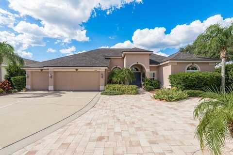 Gold Dust, TRINITY, FL 34655