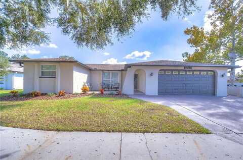 Bear Paw, PORT RICHEY, FL 34668