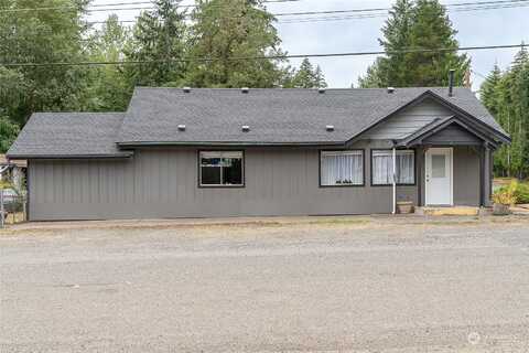 Golden Pheasant, SHELTON, WA 98584