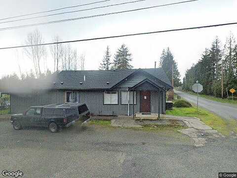 Golden Pheasant, SHELTON, WA 98584