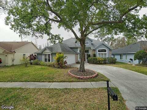 Rockrose, TAMPA, FL 33647