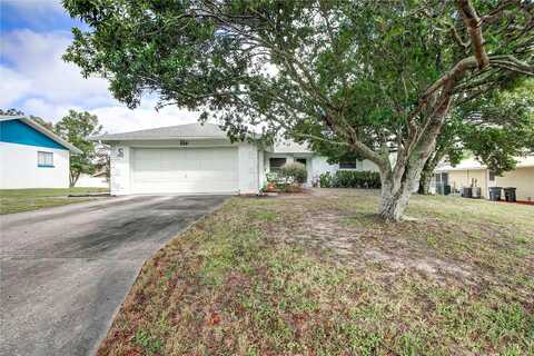 Buttonbush, BEVERLY HILLS, FL 34465